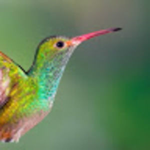 Meet your Posher, Camille